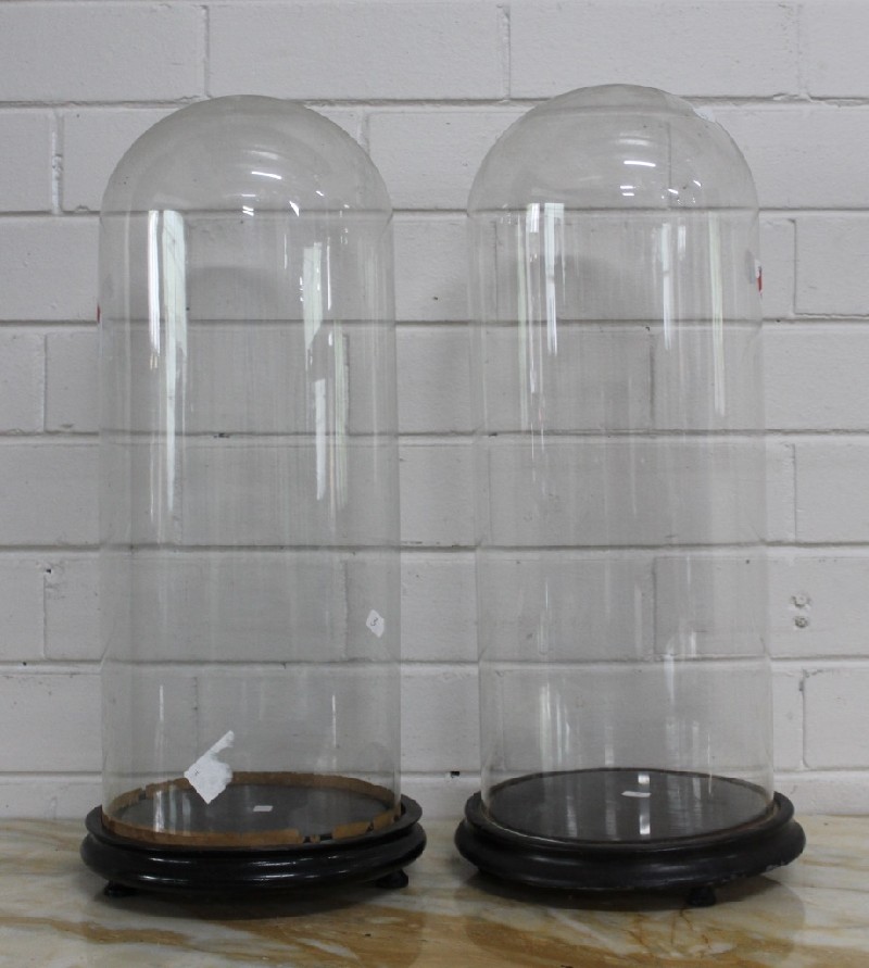 Pair of French antique glass domes on stands.