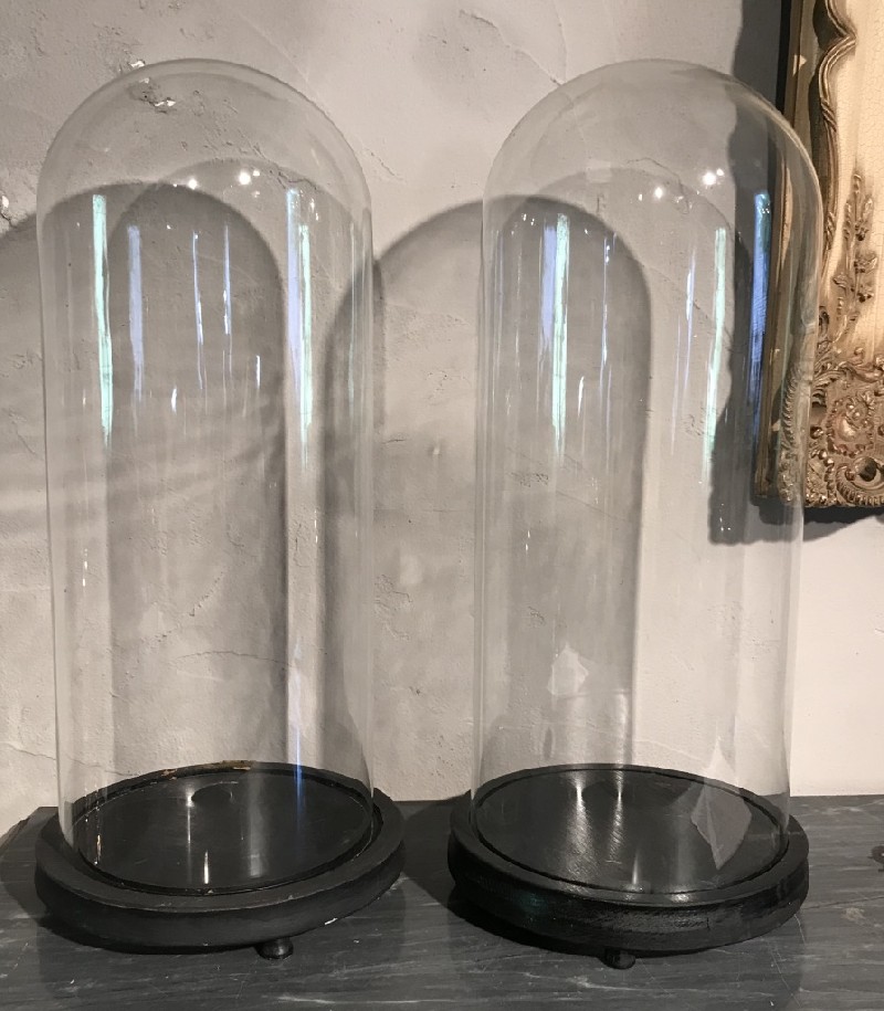 Pair of antique French glass domes on stands.